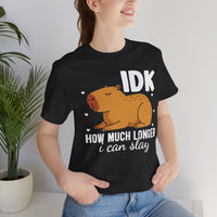 IDK How Much Longer I Can Slay Capybara Unisex T-Shirt