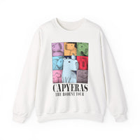 Funny Capybara Rodent Music Tour Vibes Unisex Sweatshirt
