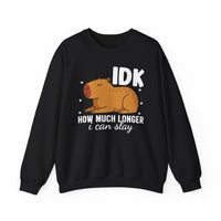 IDK How Much Longer I Can Slay Capybara Unisex Sweatshirt