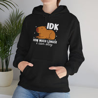 IDK How Much Longer I Can Slay Capybara Unisex Hoodie